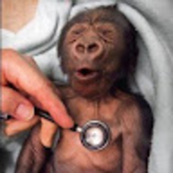 Meet your Posher, Thomas - Picture 1 of 1